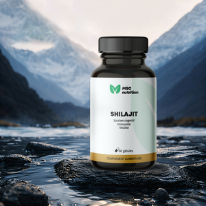 Shilajit