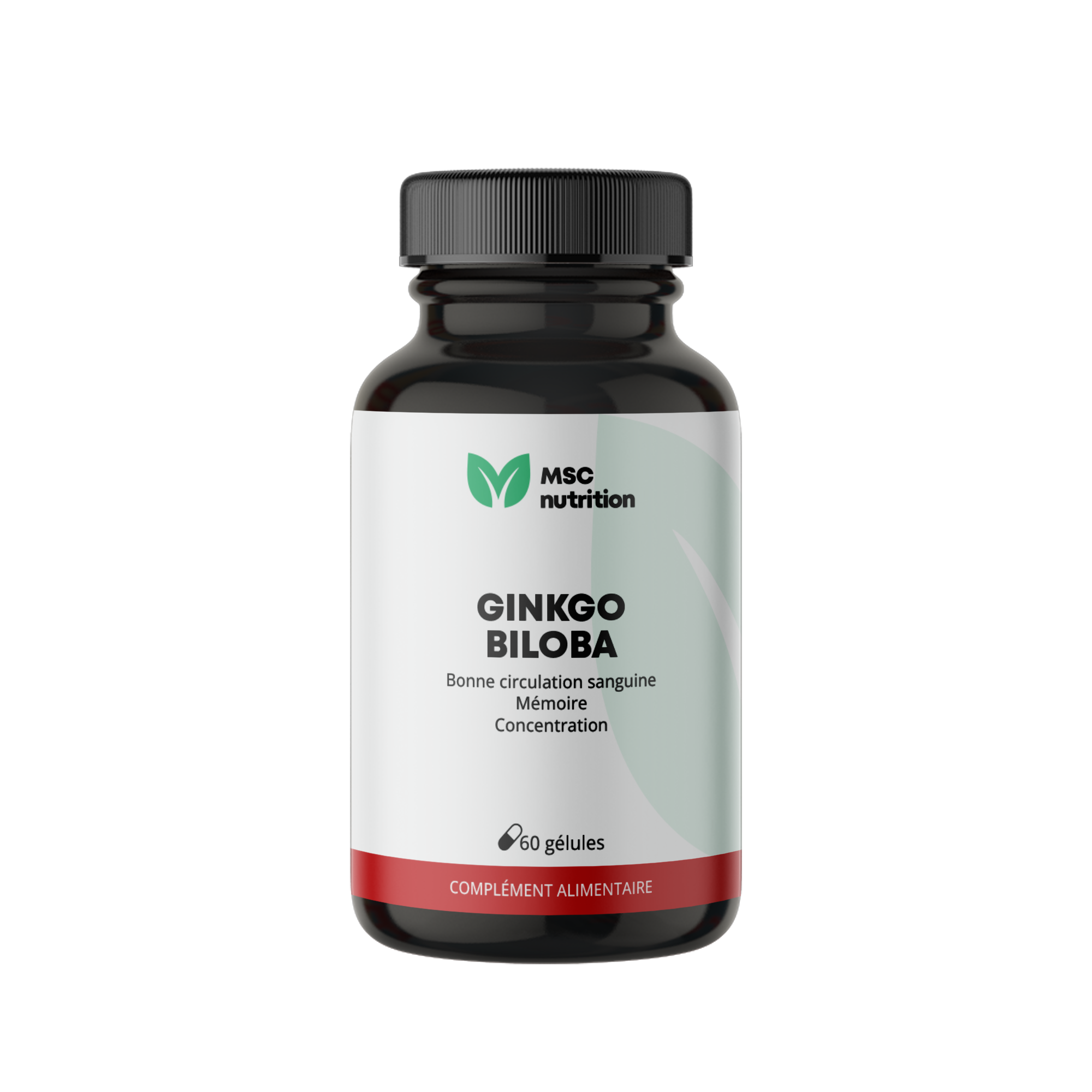 Ginkgo Biloba