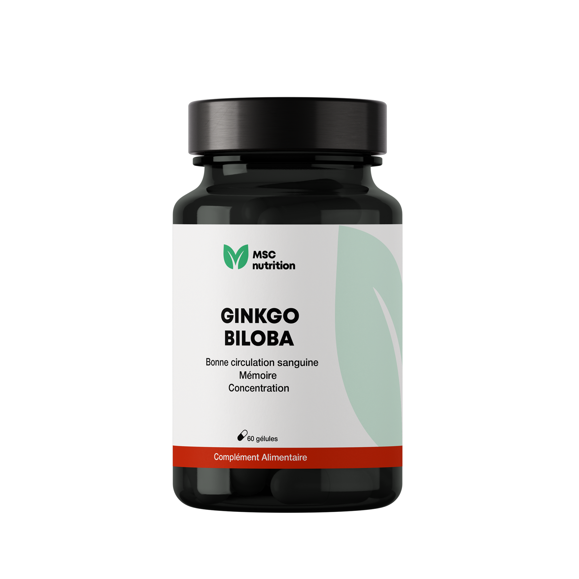 Ginkgo Biloba